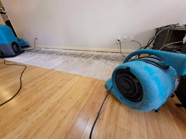 Professional Structural Drying technician working in Ludlow Falls, OH